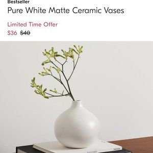 West Elm vase (matte white ceramic small round)